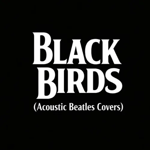 duo acústico tributo a los beatles para eventos y celebraciones